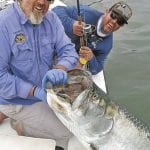 article image -